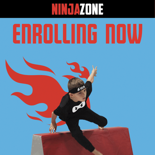 OGC Ninja Zone
